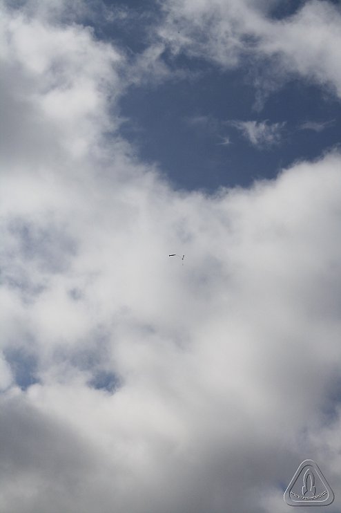 2013 Svojek Mirek Topinka